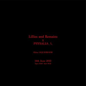 Lillies and Remains x PSYSALIA人