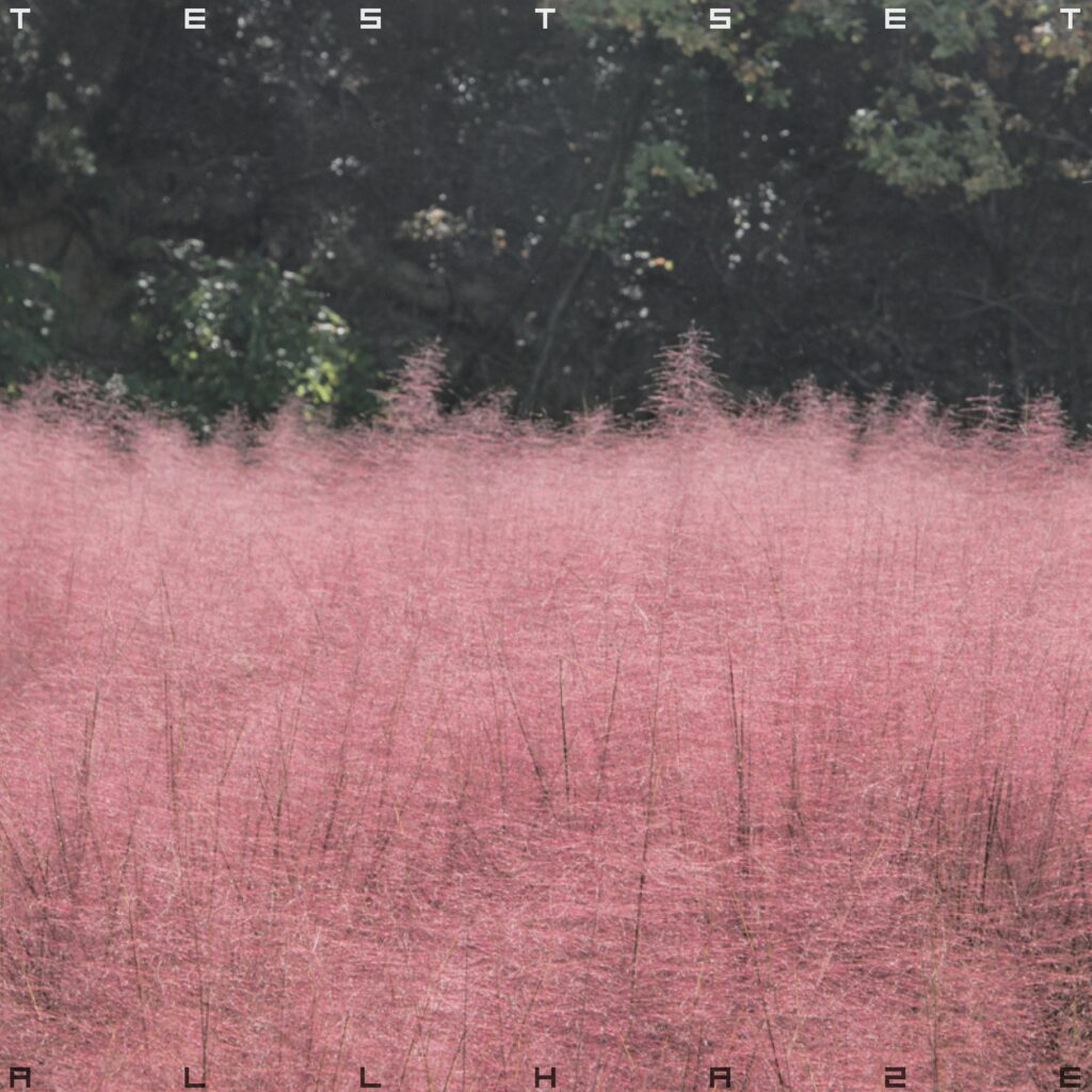 TESTSET、バンドのとしての深化 / 真価を発揮したセカンド・アルバム『ALL HAZE』をレヴュー