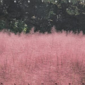 TESTSET、バンドのとしての深化 / 真価を発揮したセカンド・アルバム『ALL HAZE』をレヴュー