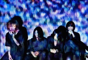 THE NOVEMBERS