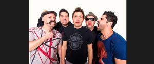 ZEBRAHEAD