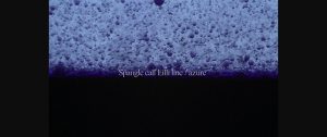 Spangle call Lilli line